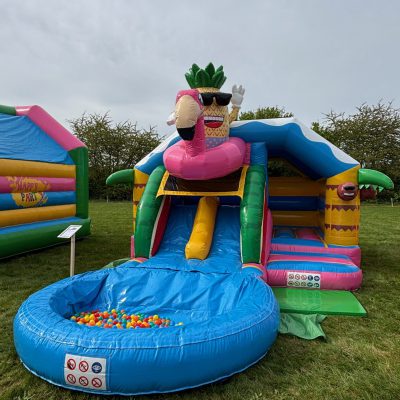 Hüpfburg_Flamingo